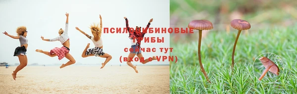 хмурый Апатиты