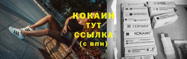 прущий лед Нея