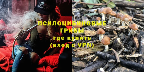 альфа пвп Новодвинск