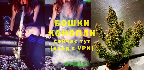 хмурый Апатиты