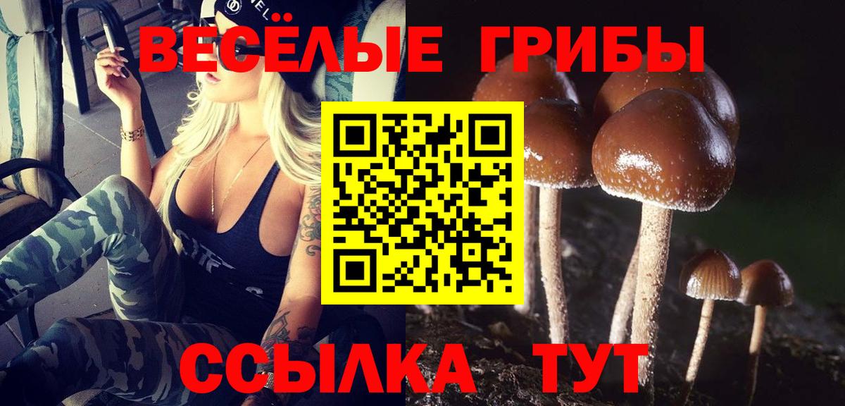 Галлюциногенные грибы Psilocybine cubensis Приморско-Ахтарск