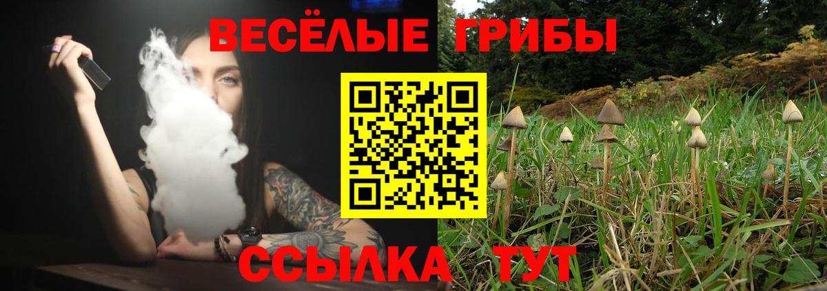 купить наркотики цена  Приморско-Ахтарск  Галлюциногенные грибы ЛСД 