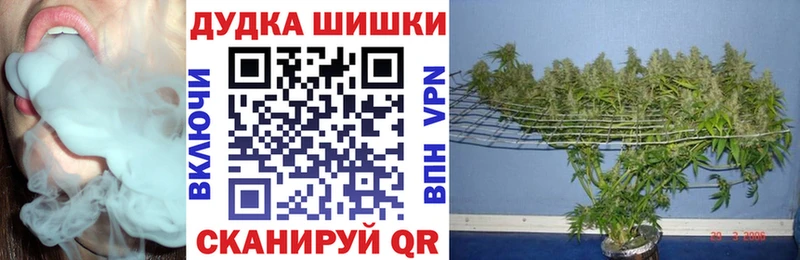 Бошки марихуана сатива  Приморско-Ахтарск 